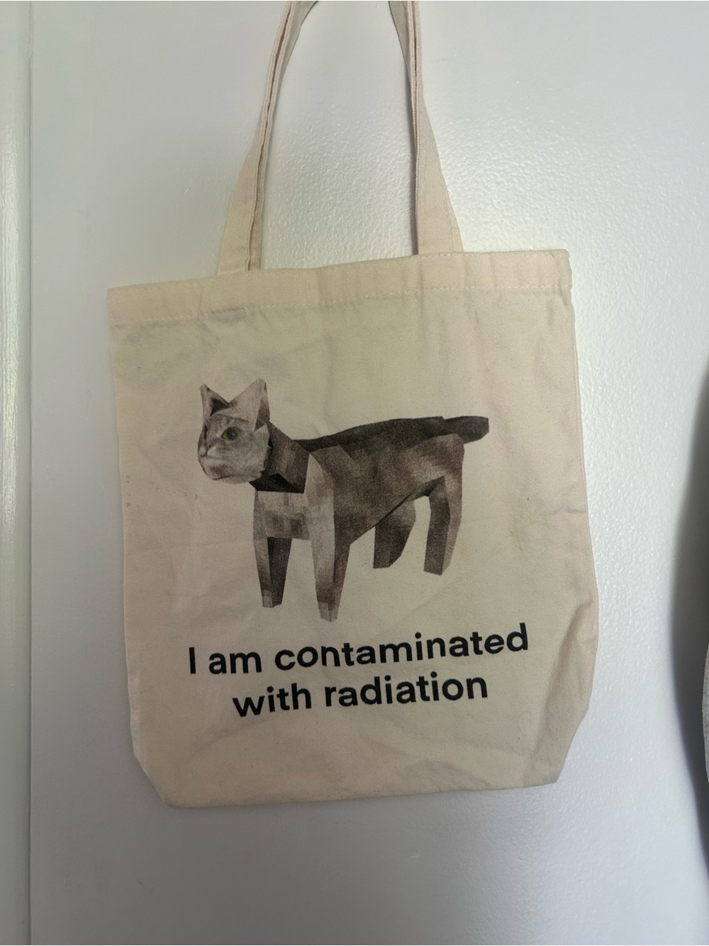 Canvas Cat Tote Bag - Cream with Graphic Cat Print